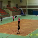 fin 1